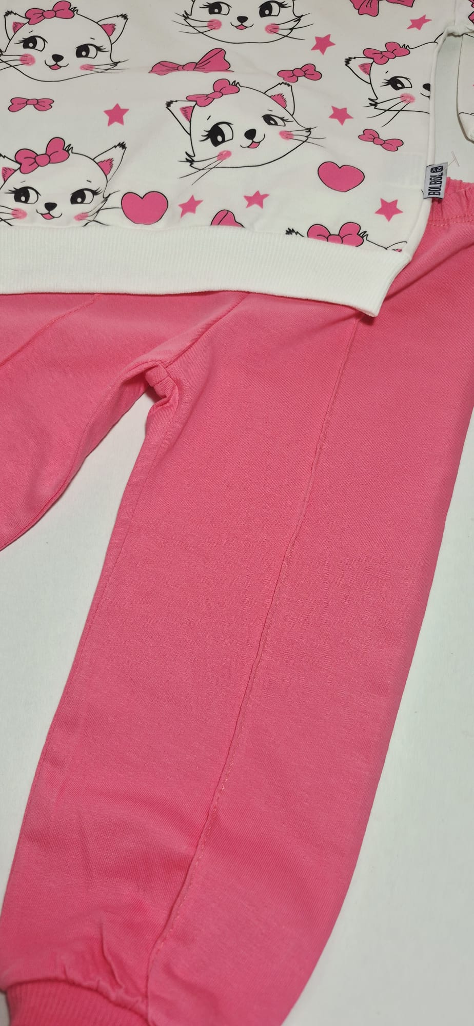 Trening pisicute - imagine 3