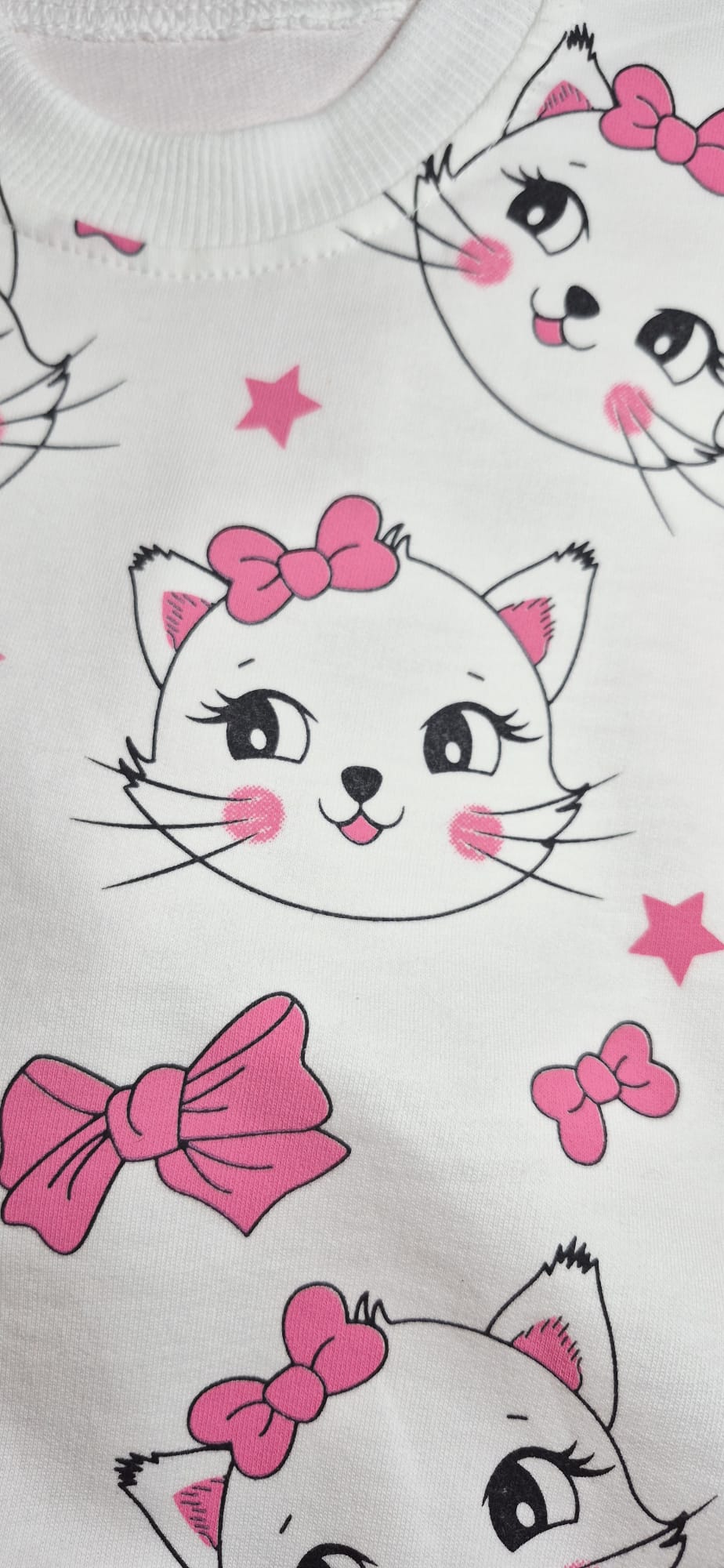 Trening pisicute - imagine 4